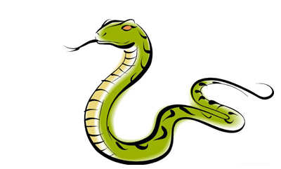 属蛇是哪年出生的根据虚岁与周岁的换算方式