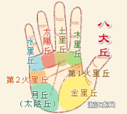 手相图解男左手介绍 手掌上五条手纹代表的含义