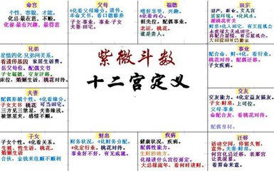 八字一起紫微命盘解析(2016.10.23)