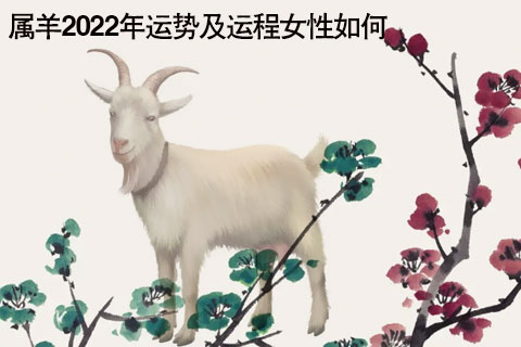 2023年属羊女的全年运势大揭秘！