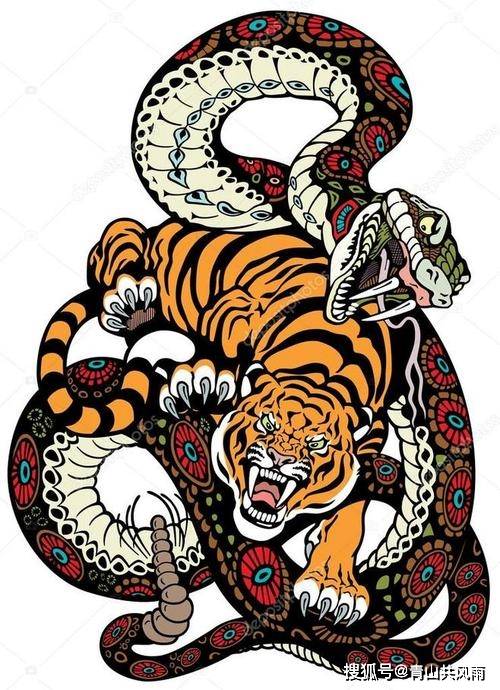 属虎和属蛇的组合会拥有怎样的命运？