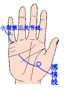 手相预测的基本原理，看手相应该注意的事项