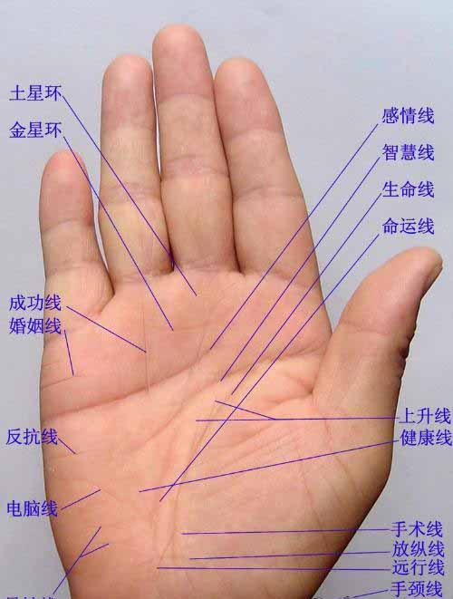 手相预测的基本原理，看手相应该注意的事项