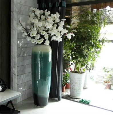客厅适合养什么花和植物好风水客厅好吗？